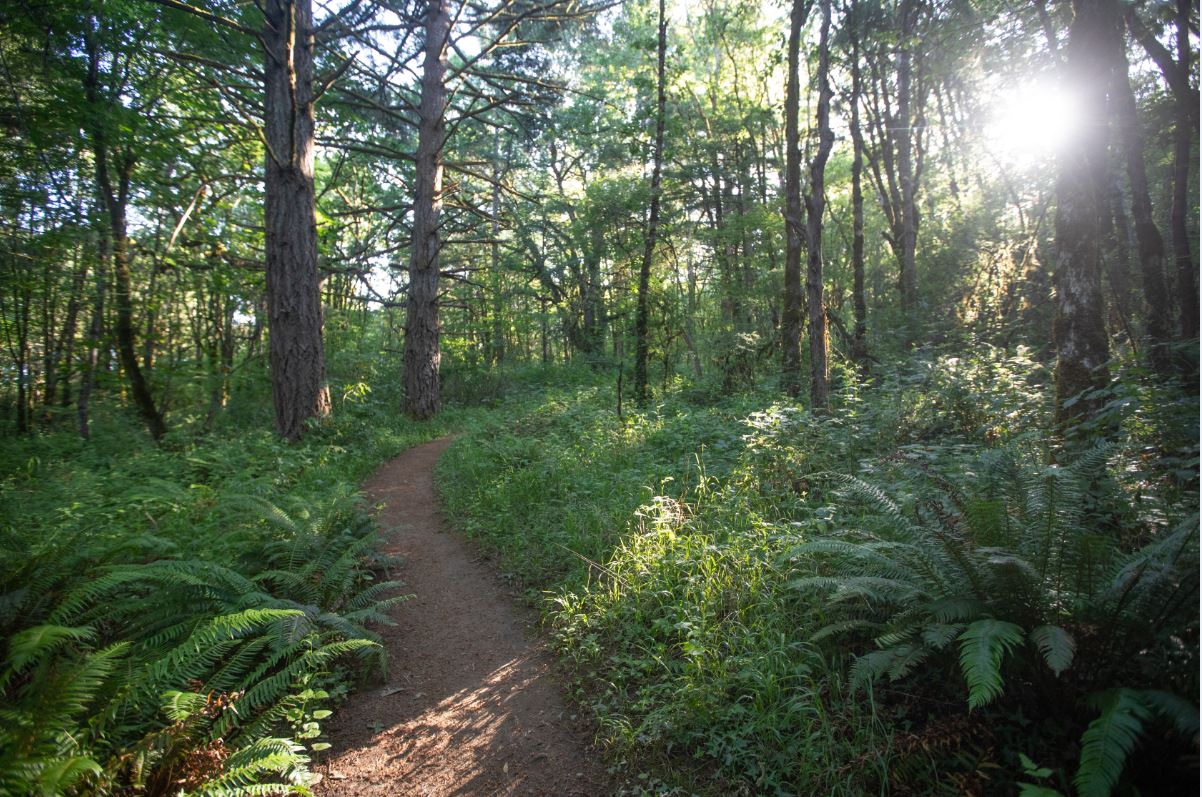 Witham Hill Natural Area