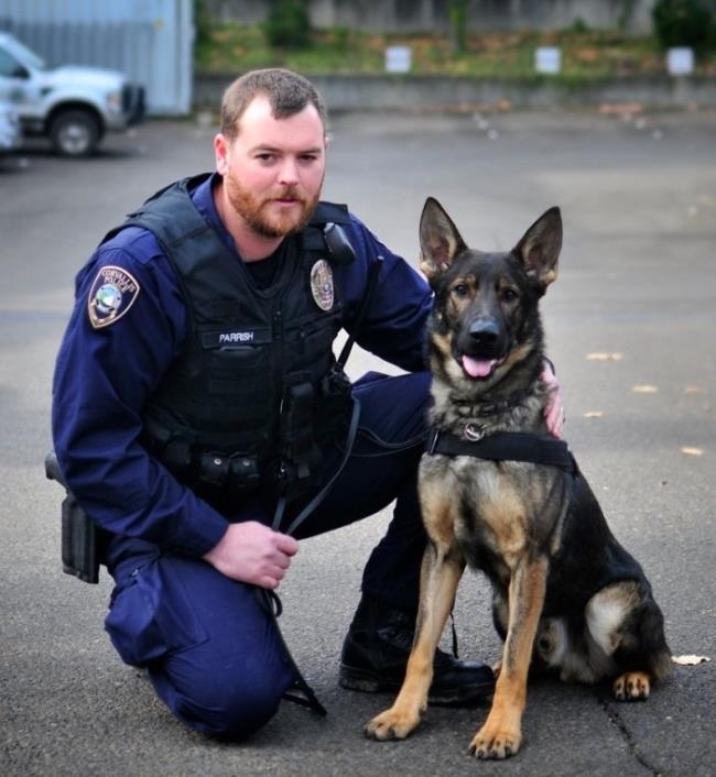 how long are police dogs in service