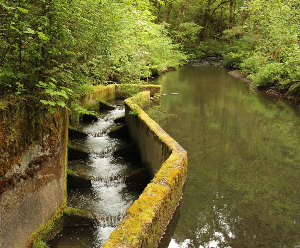 Water Quality  Corvallis Oregon